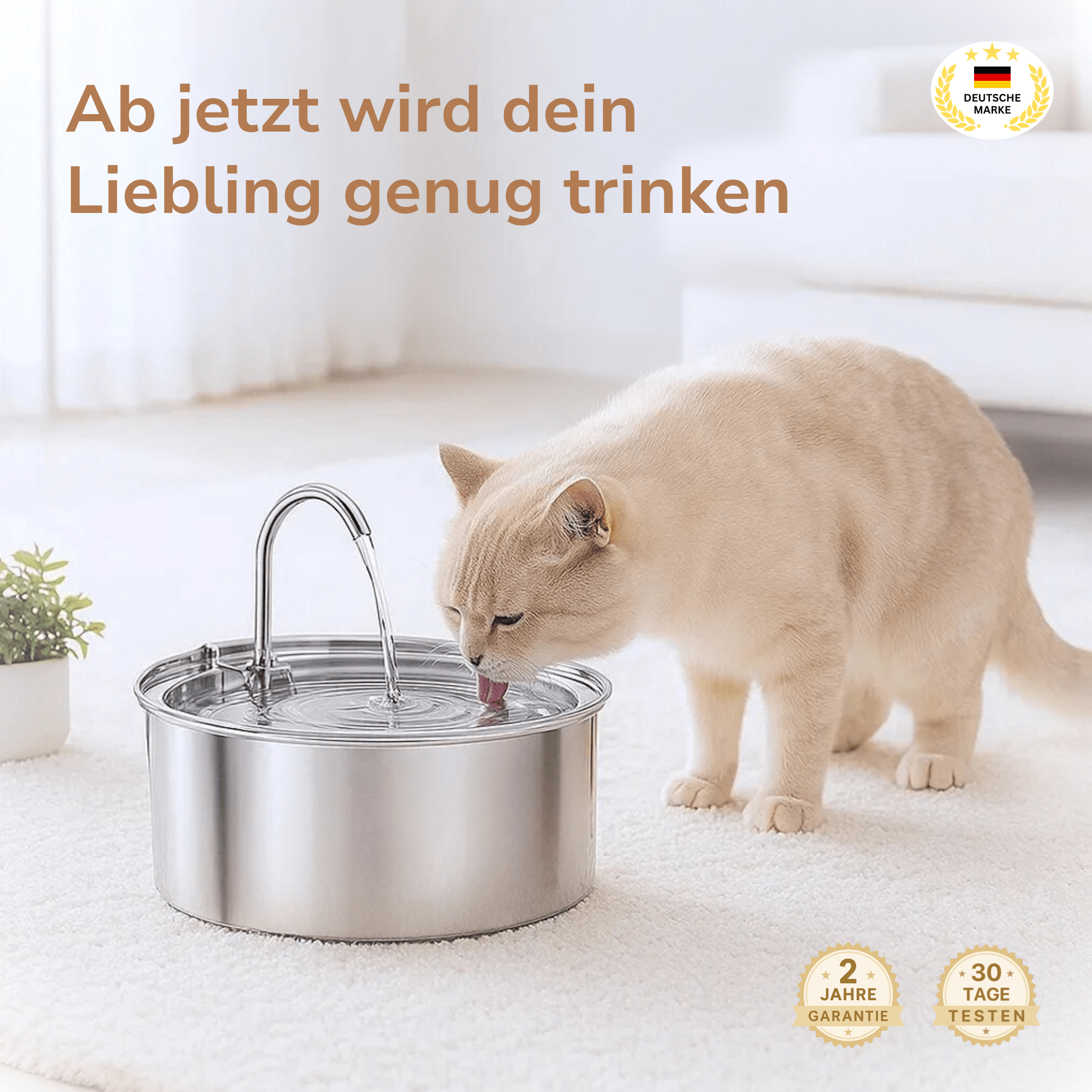Trinkbrunnen für Katzen - MESYAN