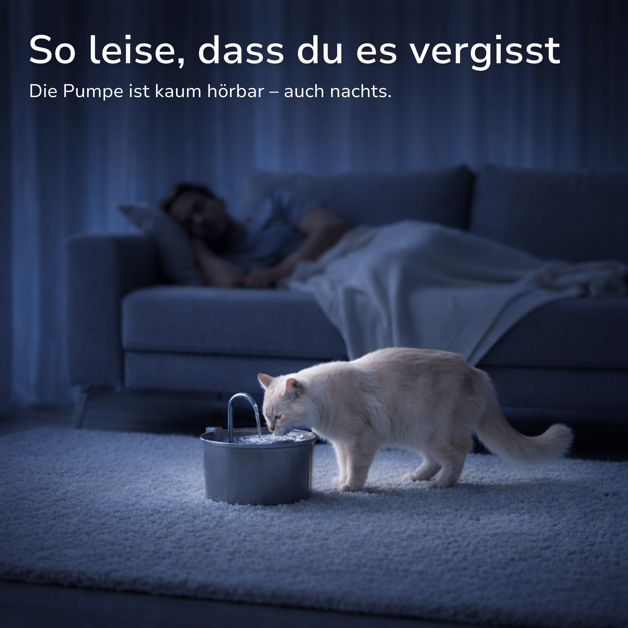 MESYAN® Trinkbrunnen für Katzen – sauberes, fließendes Wasser ohne Sorgen - MESYAN