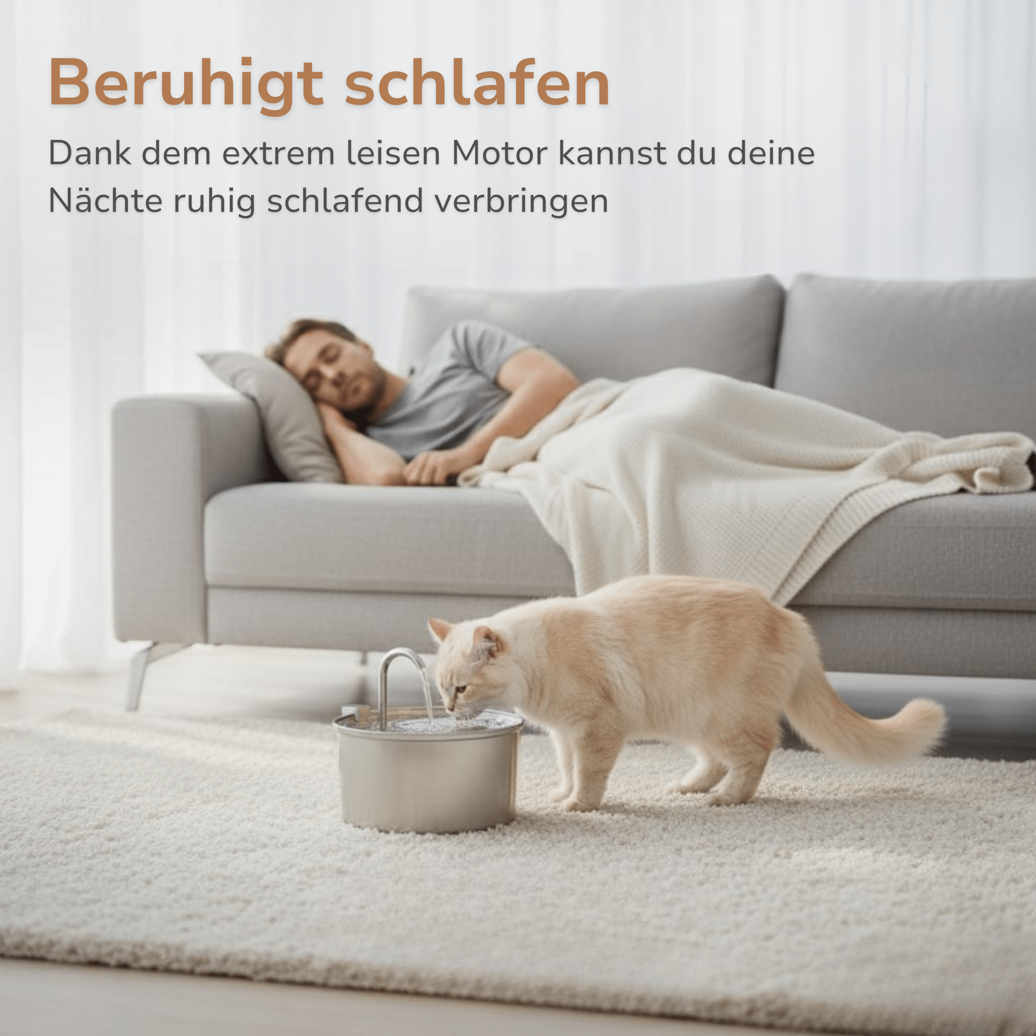 Trinkbrunnen für Katzen