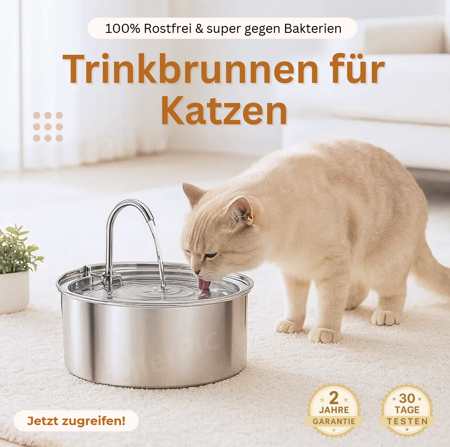 Trinkbrunnen für Katzen
